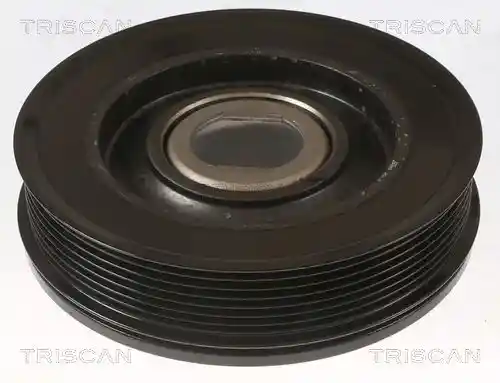 TRISCAN 8643 10021