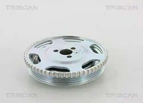 TRISCAN 8643 15001