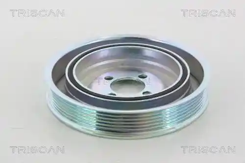TRISCAN 8643 15002