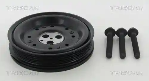 TRISCAN 8643 16005A