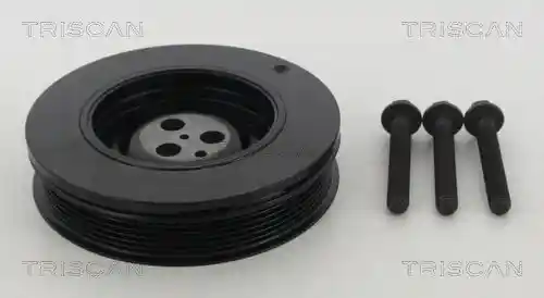 TRISCAN 8643 16005A