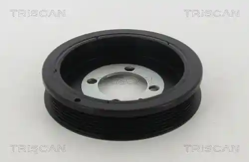 TRISCAN 8643 24006