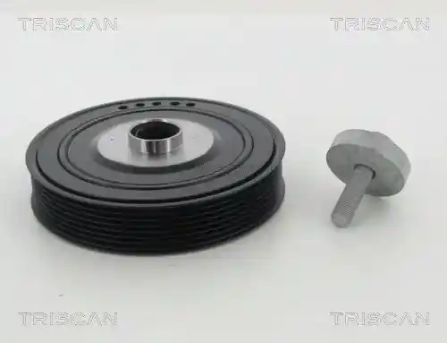 TRISCAN 8643 25003A