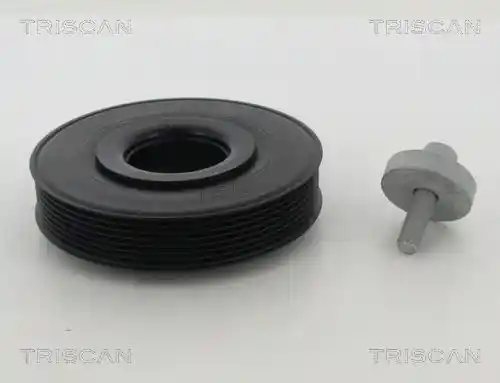 TRISCAN 8643 25003A