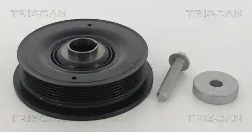 TRISCAN 8643 25005A