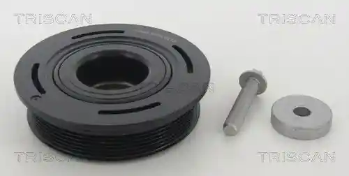 TRISCAN 8643 25005A