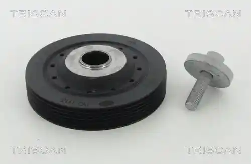 TRISCAN 8643 25010A