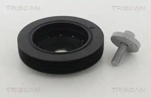 TRISCAN 8643 25010A