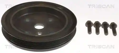 TRISCAN 8643 27002