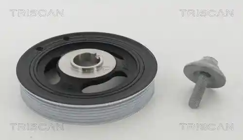 TRISCAN 8643 28007A
