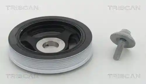 TRISCAN 8643 28007A