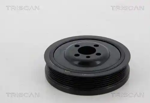 TRISCAN 8643 29001