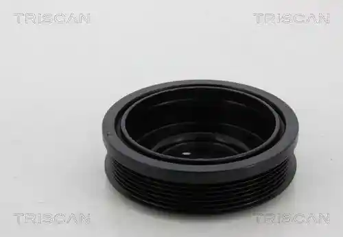 TRISCAN 8643 29001