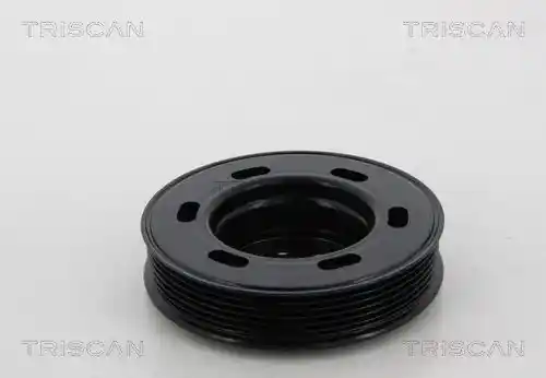 TRISCAN 8643 29003