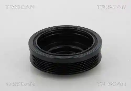 TRISCAN 8643 29010