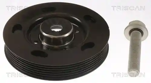 TRISCAN 8643 29013