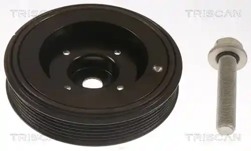 TRISCAN 8643 29013