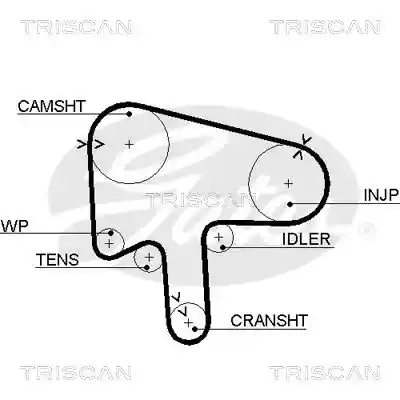 TRISCAN 8645 5510XS