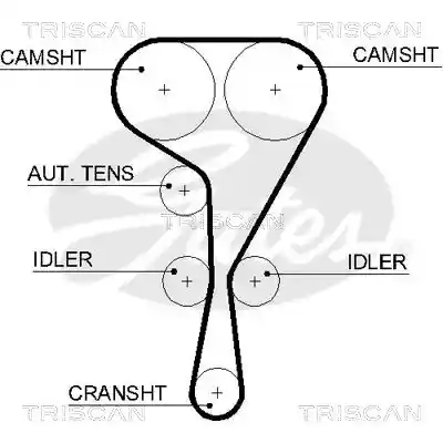 TRISCAN 8645 5550XS