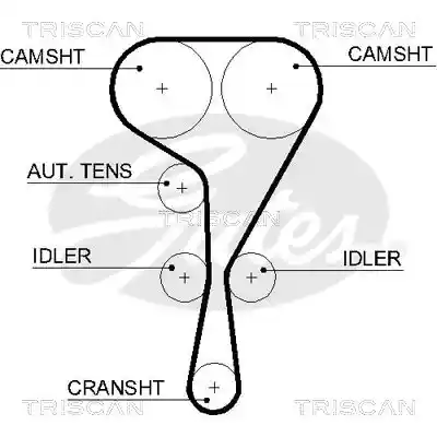 TRISCAN 8645 5551XS