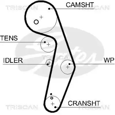 TRISCAN 8645 5569XS