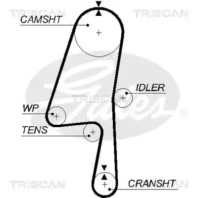 TRISCAN 8645 5580XS