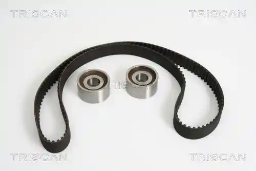 TRISCAN 8647 10021
