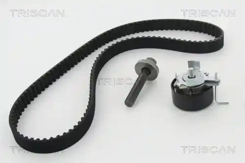 TRISCAN 8647 10091 TRISCAN 8647 10091