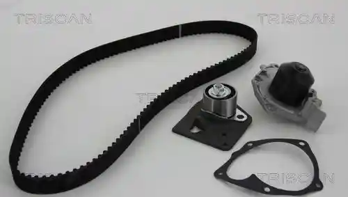 TRISCAN 8647 250003