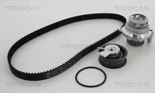 TRISCAN 8647 290004