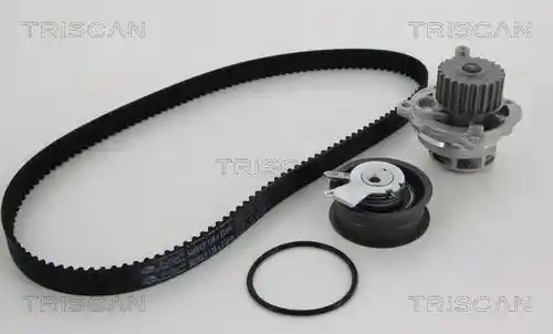 TRISCAN 8647 290004