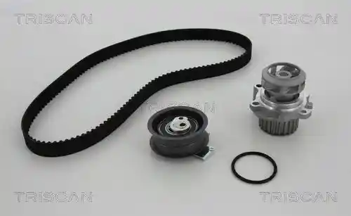 TRISCAN 8647 290005