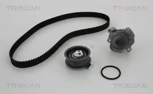 TRISCAN 8647 290005