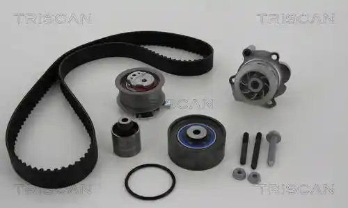 TRISCAN 8647 290015