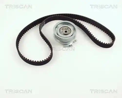 TRISCAN 8647 29022