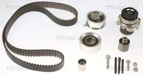 TRISCAN 8647 290500