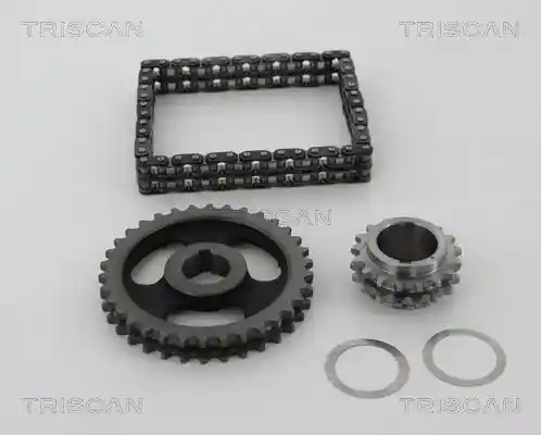 TRISCAN 8650 29006 TRISCAN 8650 29006