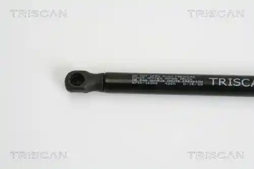 TRISCAN 8710 10206