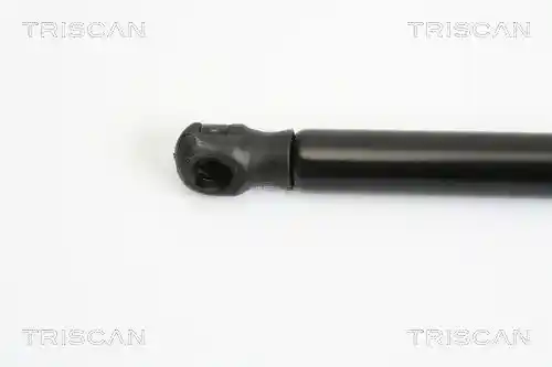 TRISCAN 8710 12105