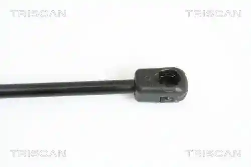 TRISCAN 8710 12105