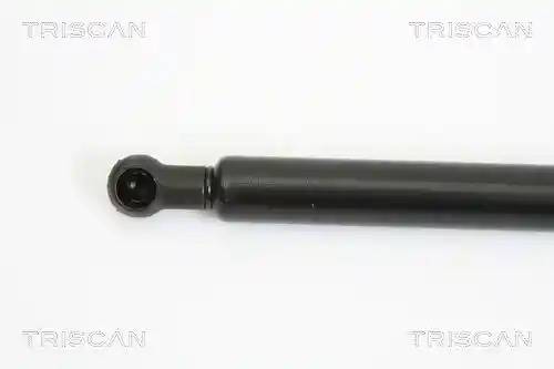 TRISCAN 8710 13273