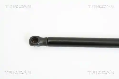 TRISCAN 8710 15232