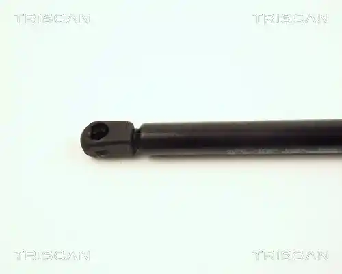 TRISCAN 8710 16236