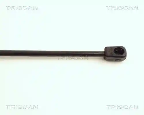 TRISCAN 8710 16236
