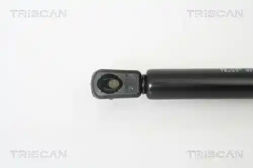 TRISCAN 8710 16240
