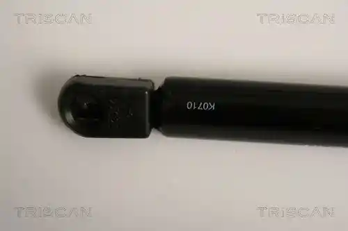 TRISCAN 8710 16254