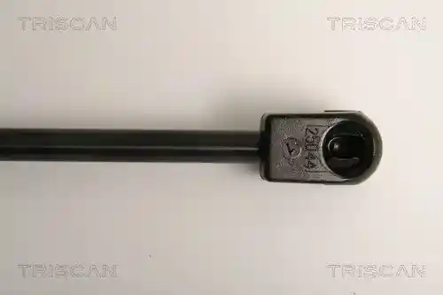 TRISCAN 8710 16254