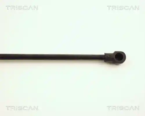 TRISCAN 8710 29118
