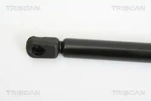 TRISCAN 8710 29125