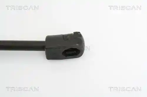 TRISCAN 8710 29125